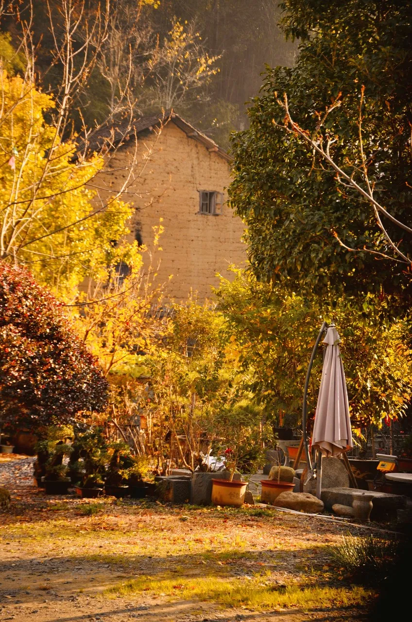 The most beautiful place to travel in November, no strategy and no money, which one do you want to go to?