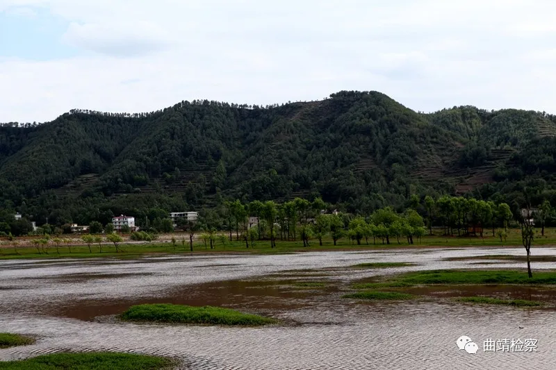 握指成拳 汇聚“生物多样性保护”最强合力 曲靖市检察院邀请人大代表、政协委员视察公益诉讼检察工作