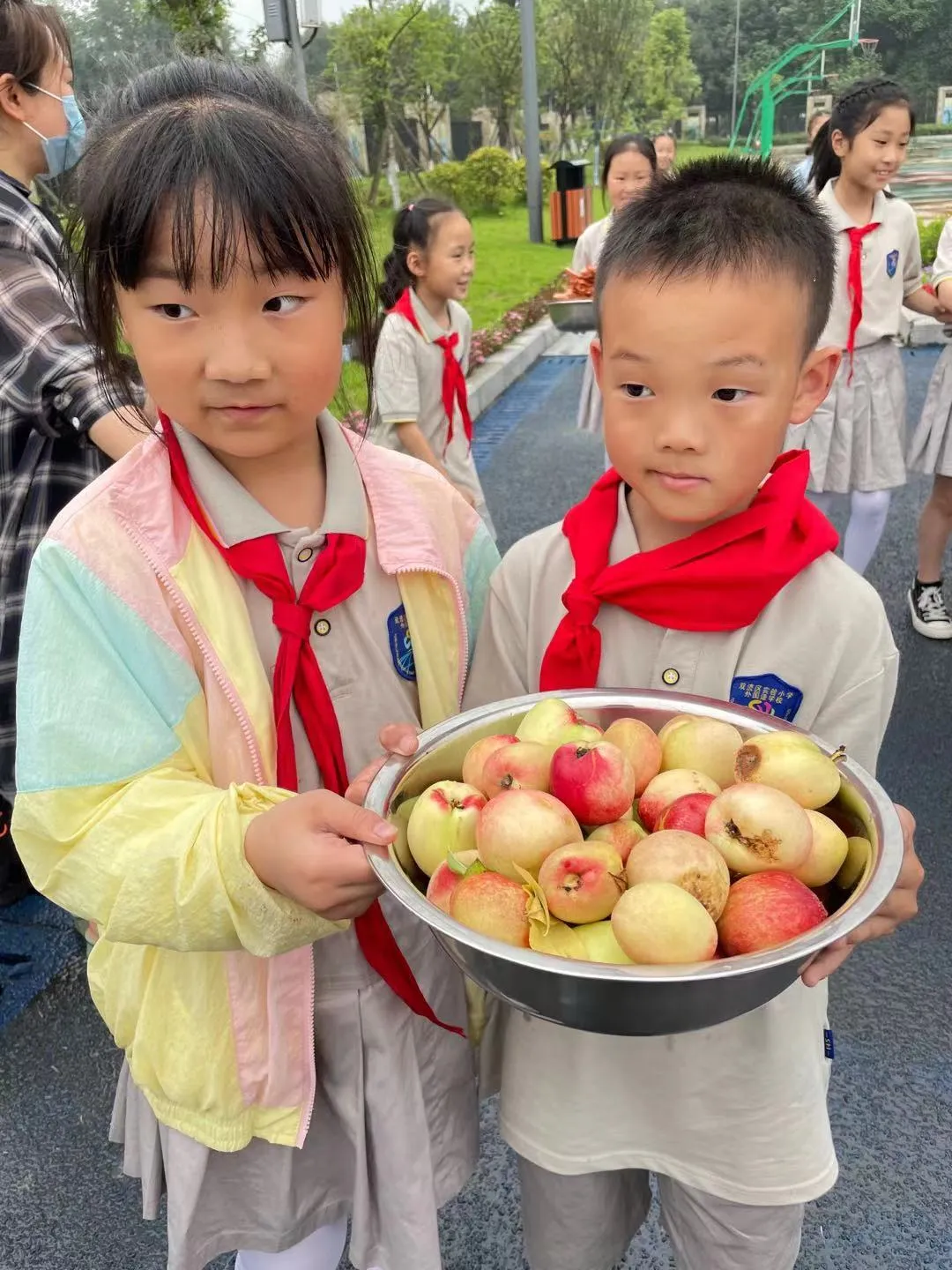 快乐劳动 幸福采摘——双流区实验小学外国语学校劳动课程
