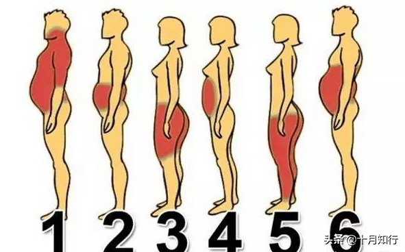 5個方法減掉腹部頑固脂肪，7個動作鍛鍊腹肌，練出迷人馬甲線