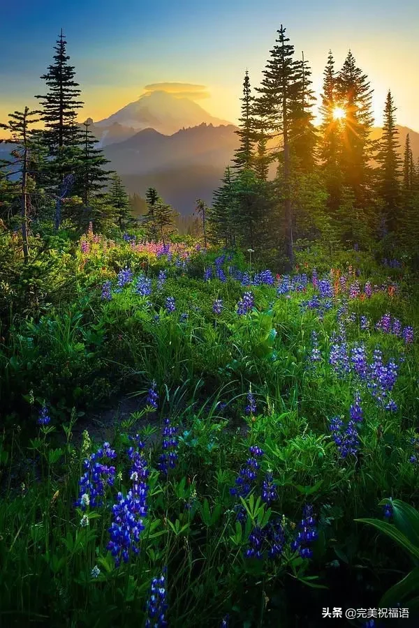 早安|大年十三早安图片日签正月十三阳光图片带字 2月6问候祝福美图