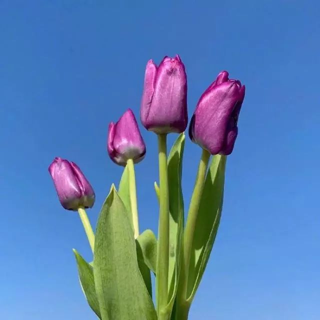 感悟时间流逝的句子 感慨岁月的句子发朋友圈