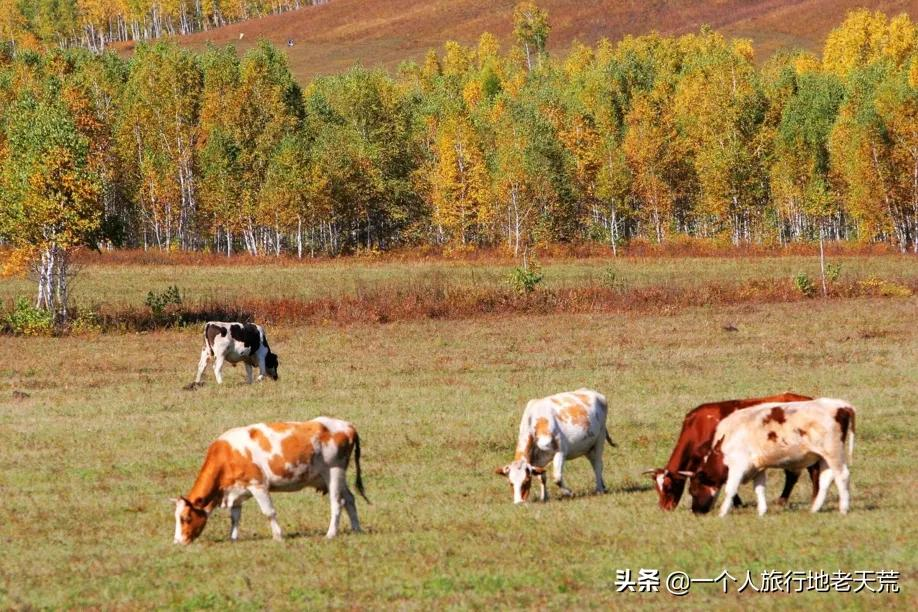 国庆还能去旅游吗？这16个宝藏地考虑一下