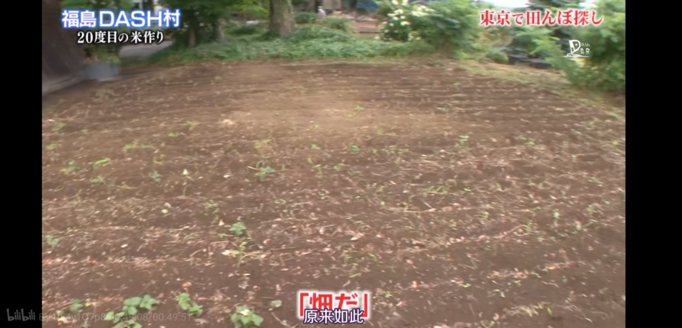 日本人，真会玩儿！这个日本综艺告诉你，如何