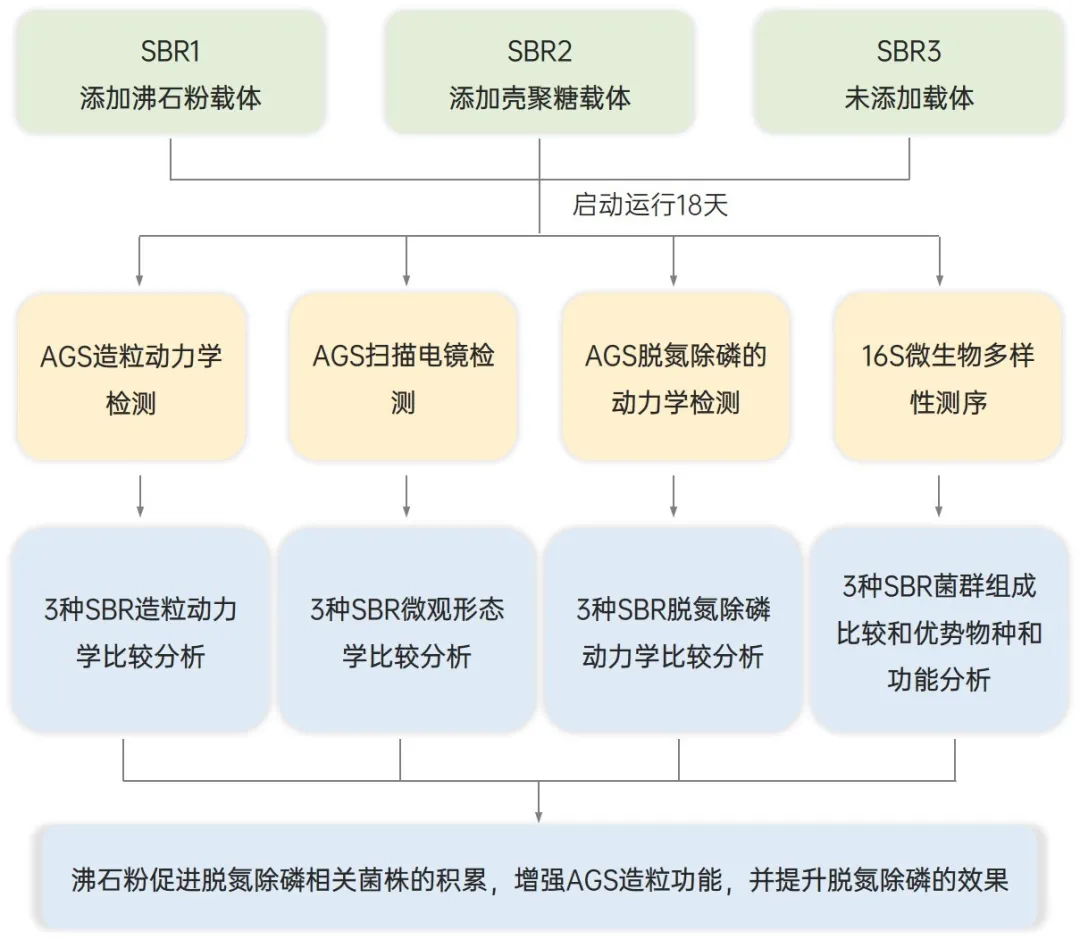 沸石粉对好氧颗粒污泥造粒、脱氮除磷的强化作用及其相互作用机理