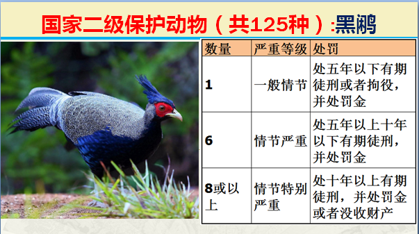 国家最新125类二级野生保护名录，图片及违法对应刑责