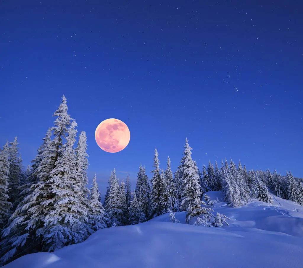 古诗词里的十二月十五，一年中最后的月圆，有雪，有月，有诗意-第9张图片-诗句网