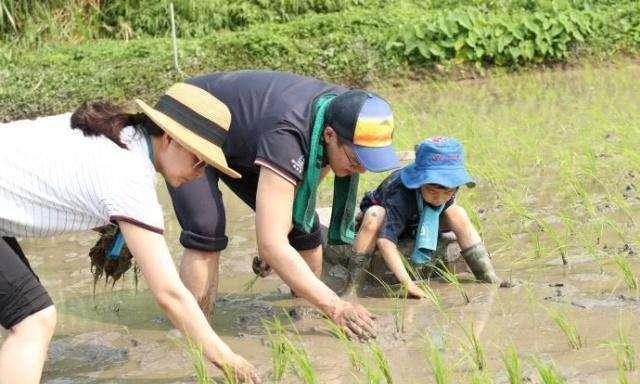 郭晶晶老公晒照疑“拼四胎”，公婆表态儿媳说