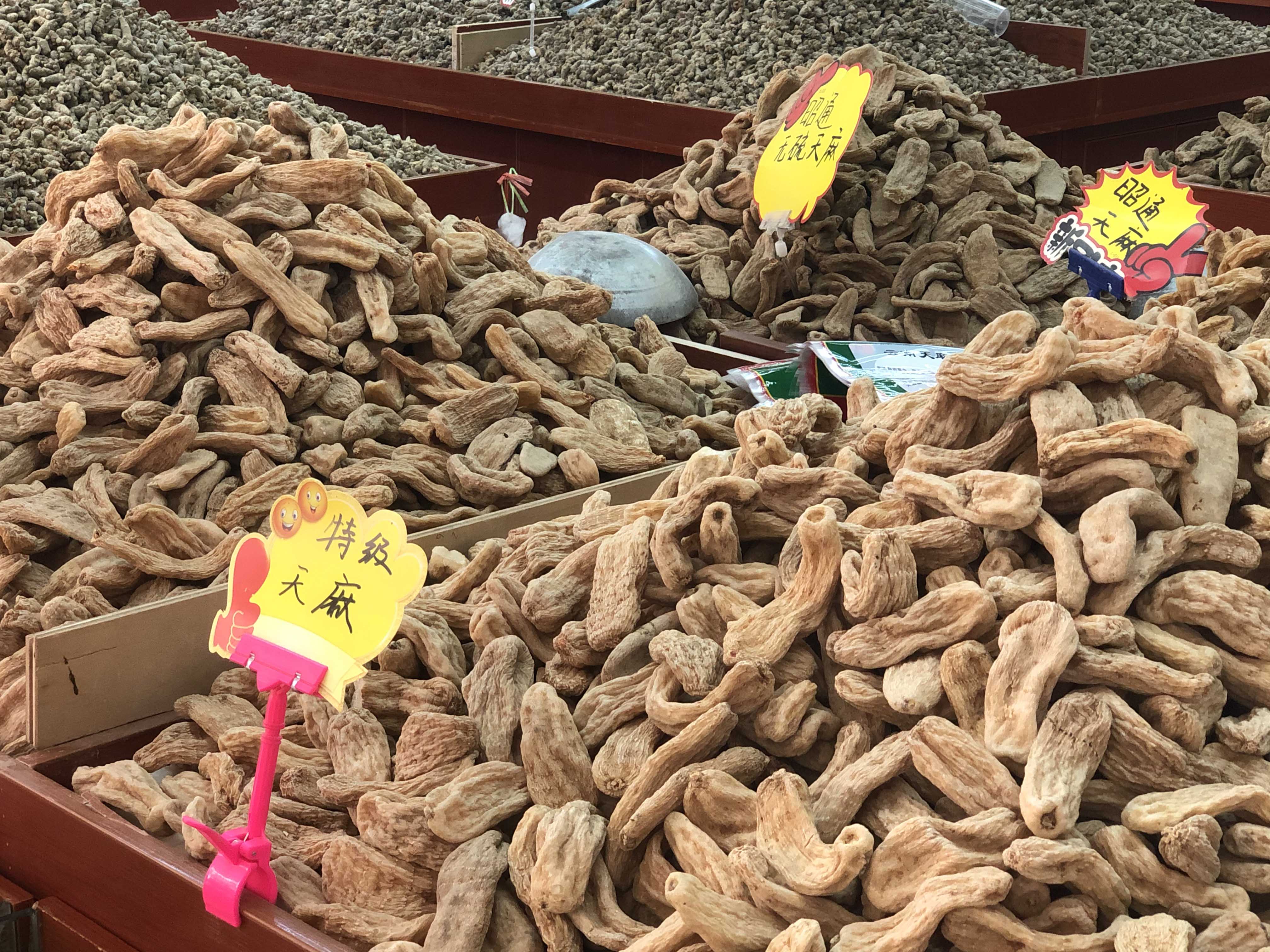 昆明新螺蛳湾药材市场开启健康生活新方式，本土养生栏目正式开机