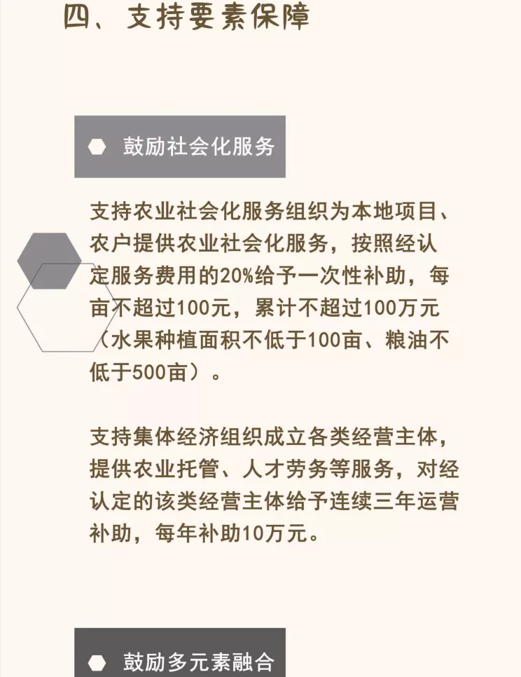 乡村振兴高质量发展十条政策