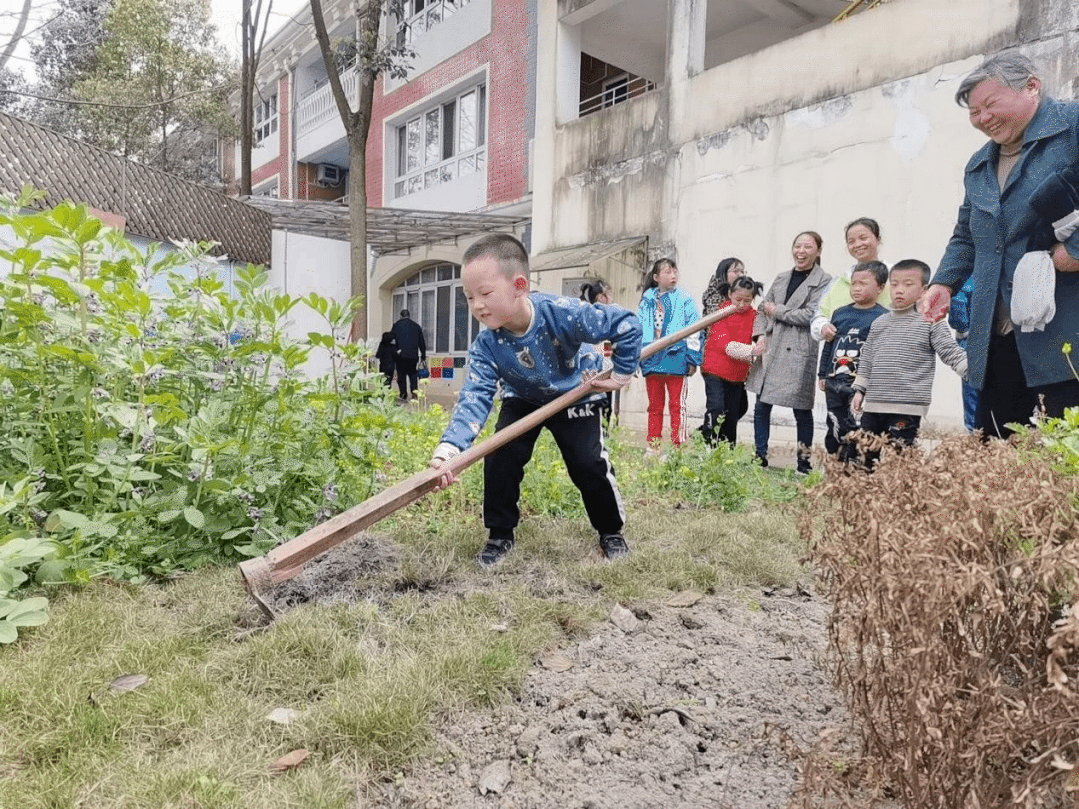 绿色的希望在校园萌芽——四川天府特校开展爱绿护绿行动