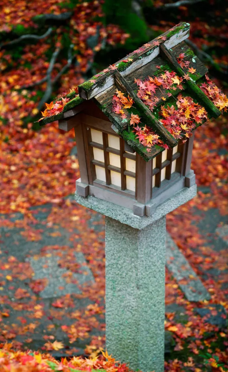 踏歌争唱清秋词，古诗词里的秋词，是秋天最美的色彩-第18张图片-诗句网