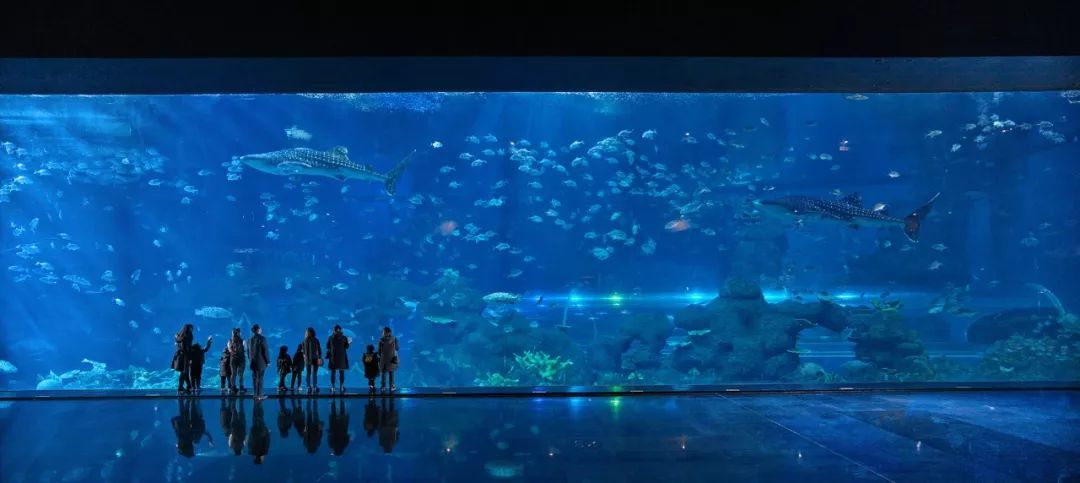 他拍下像蝼蚁一样生活的2000个中国人，没人能平静看完