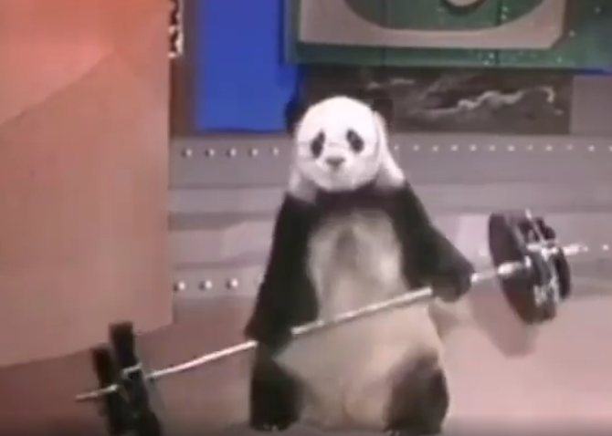 大熊猫|早期春晚的大熊猫表演 世界上最长寿的大熊猫一代人的记忆