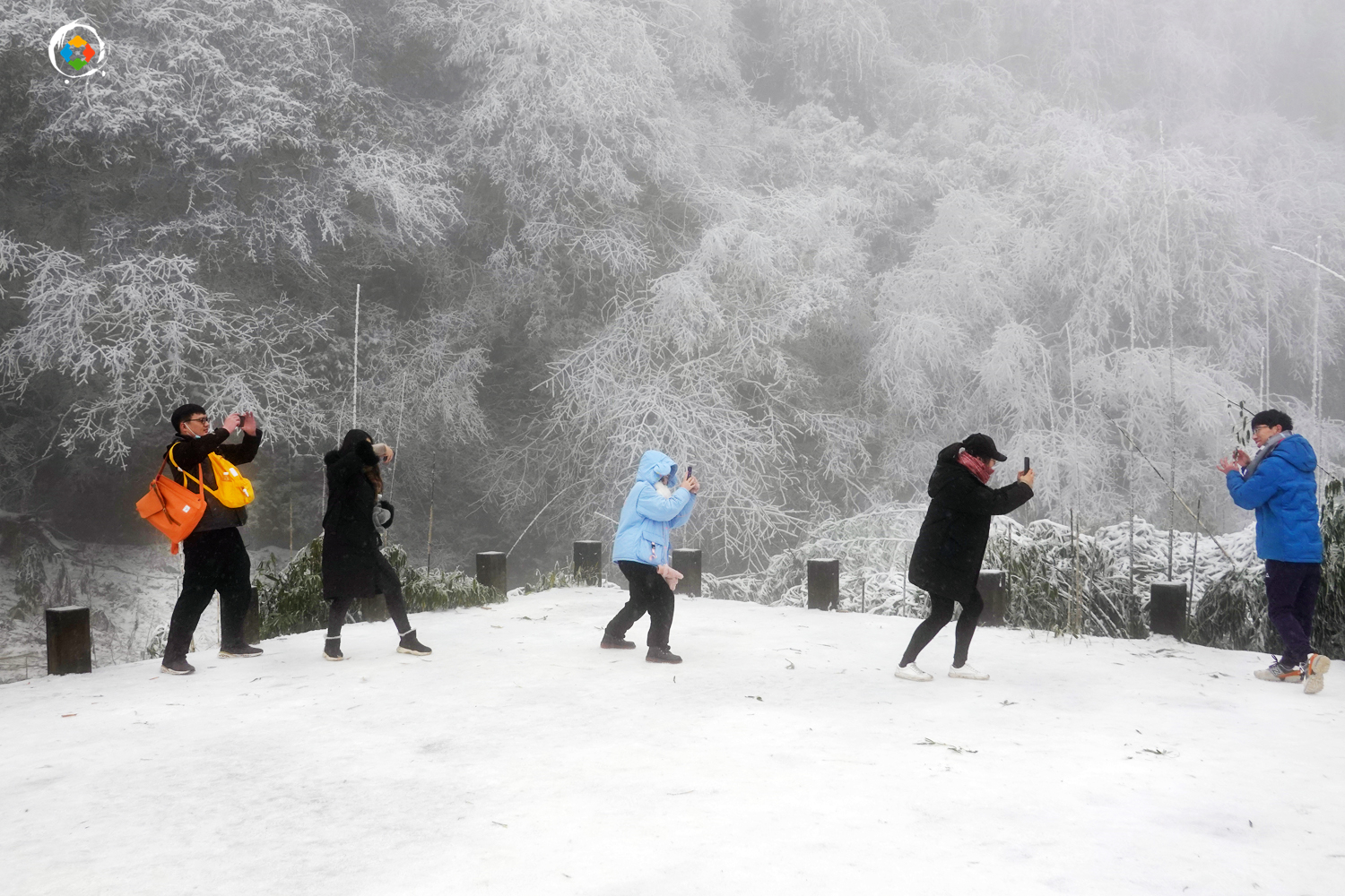 重庆金佛山冬日游：这个国家级5A景区，是不是真的徒有虚名？