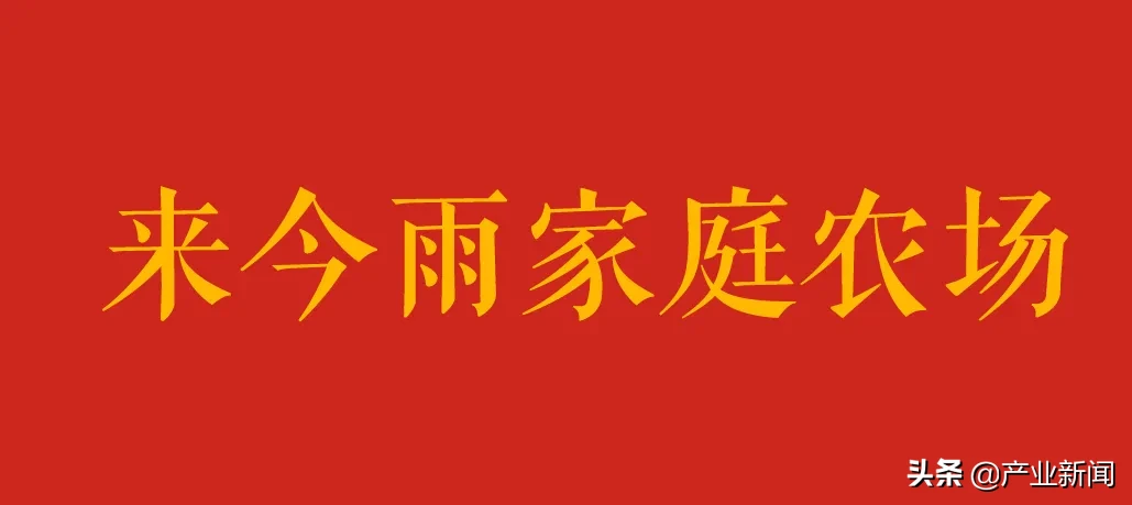 来今雨农场——一位退役海军开创的农业新天地