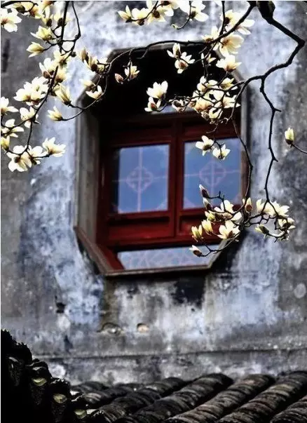 愿你有个小院，推出窗子便是花海