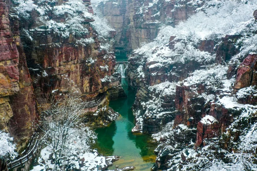 美到爆！云台山迎春日“桃花雪”！雪山云海宛若仙境