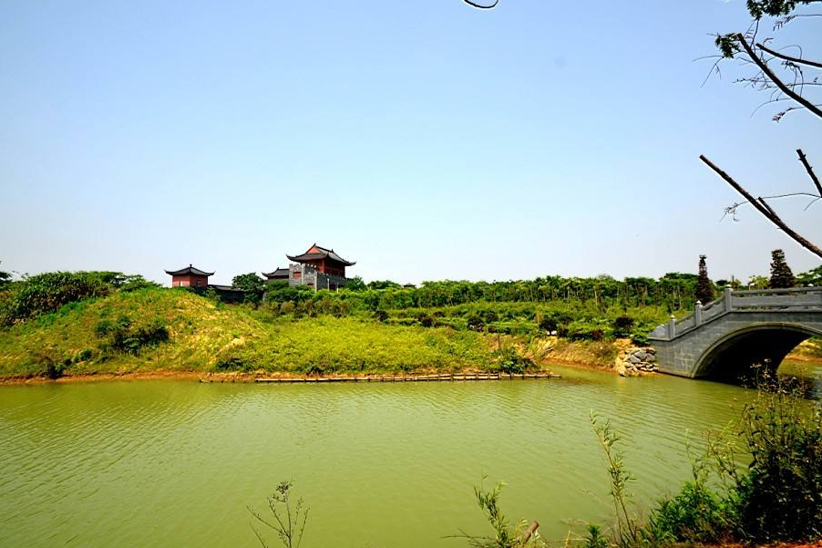 A park in Jiangxi became popular with more than 30,000 bonsais, which ...