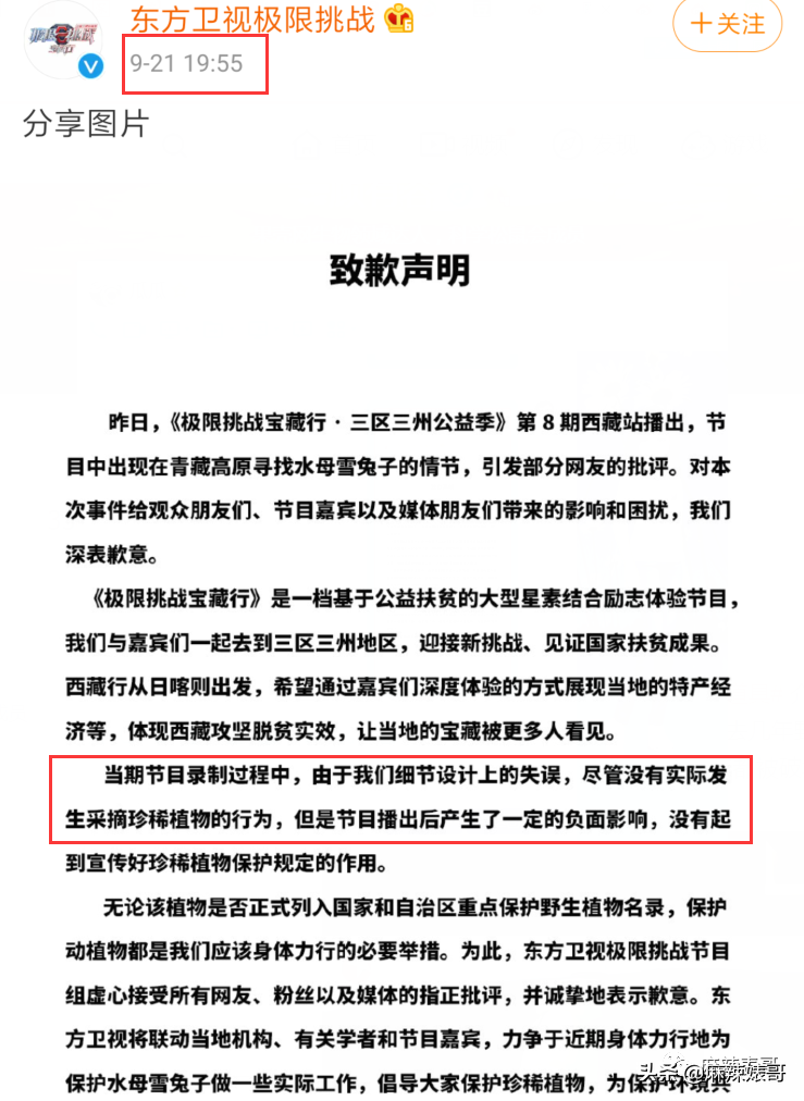 《极限挑战》做错事后装怂又甩锅，这算是又蠢又坏了吧？