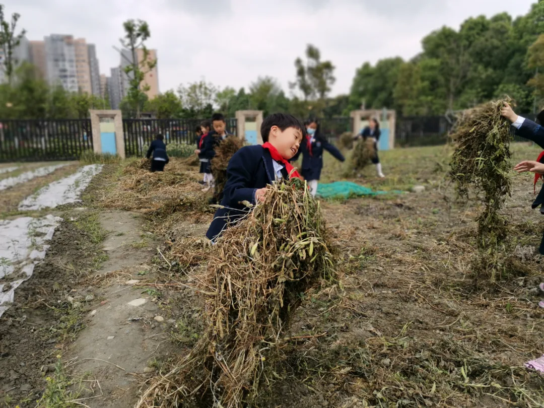 双流区实验小学外国语学校丨最美人间四月天 幸福农场齐生长
