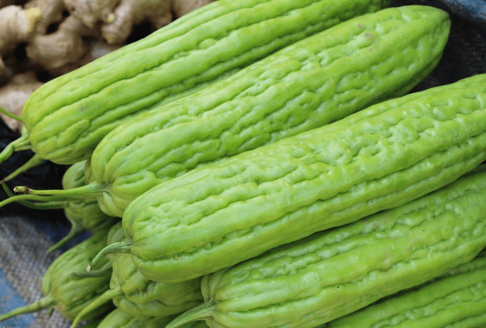 買苦瓜該怎麼挑？ 老菜農教你3招，苦瓜轉身變“甜瓜”，別買錯了