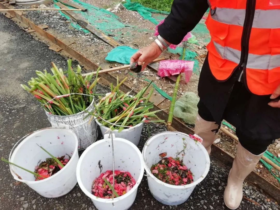 官方“重金悬赏”！采摘这个有奖