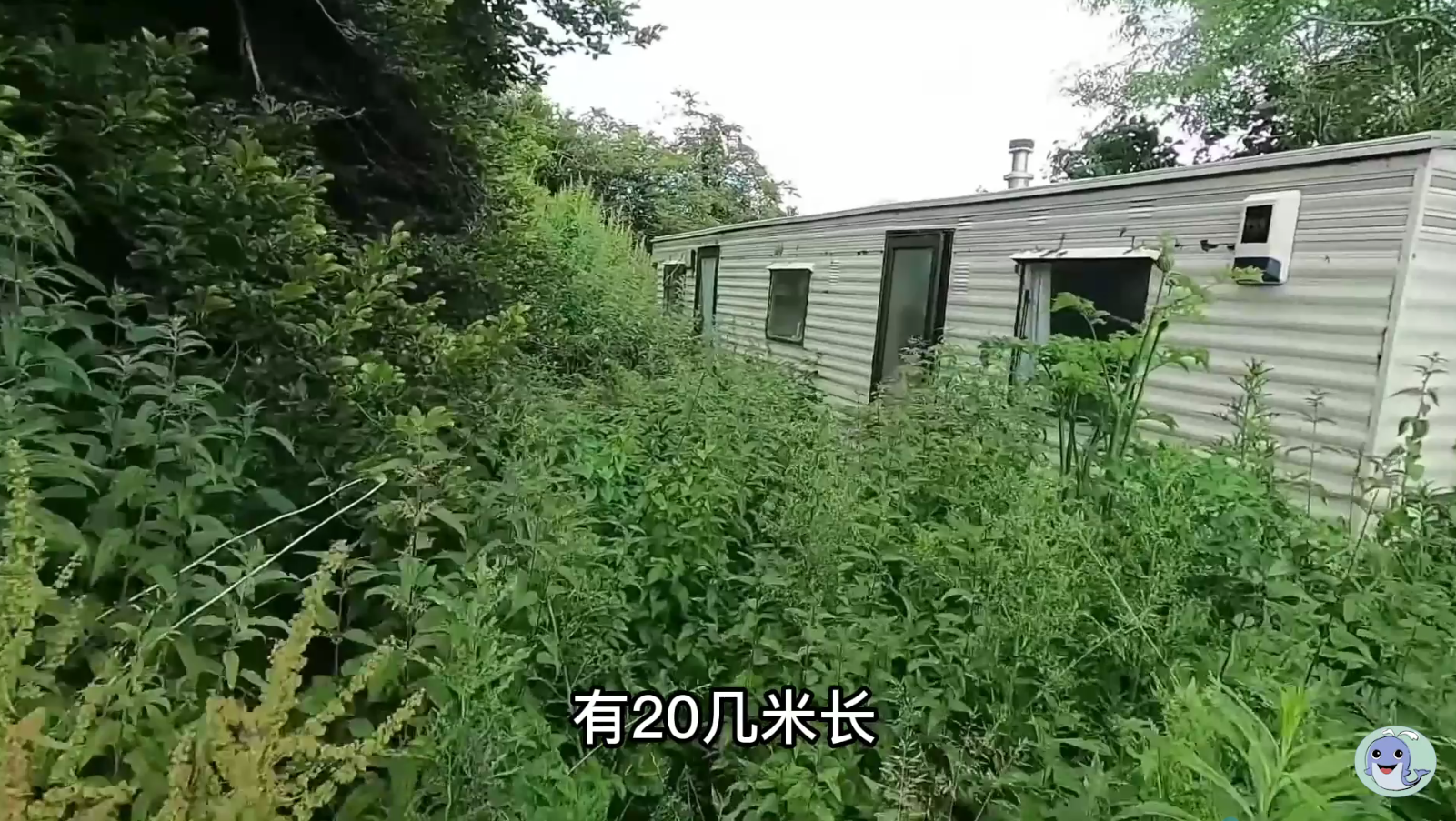 这是一栋被主人遗弃的房屋，价值180万的汽车都不要了