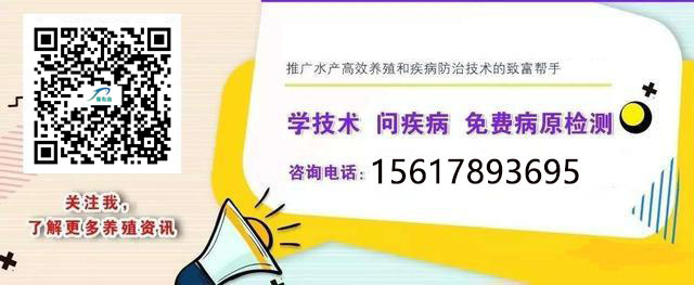 难以杀灭的锚头蚤如何根治 草本驱虫净锚头蚤的克星