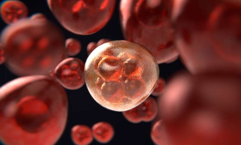 研究人员发现将正常细胞转化为癌症的两个关键事件