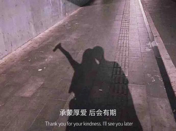 文案：得以其偏爱，倾尽平生慷慨