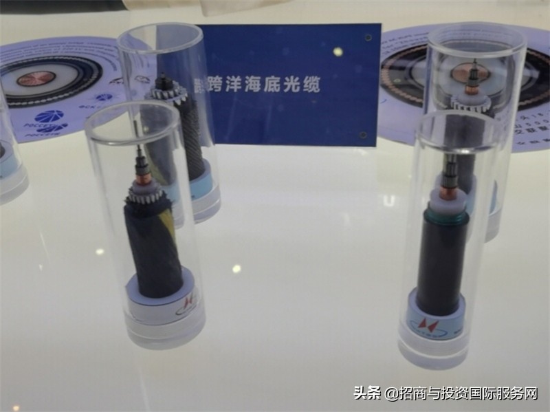 苏州市吴江区：加快推动双循环 政企协力迎新章