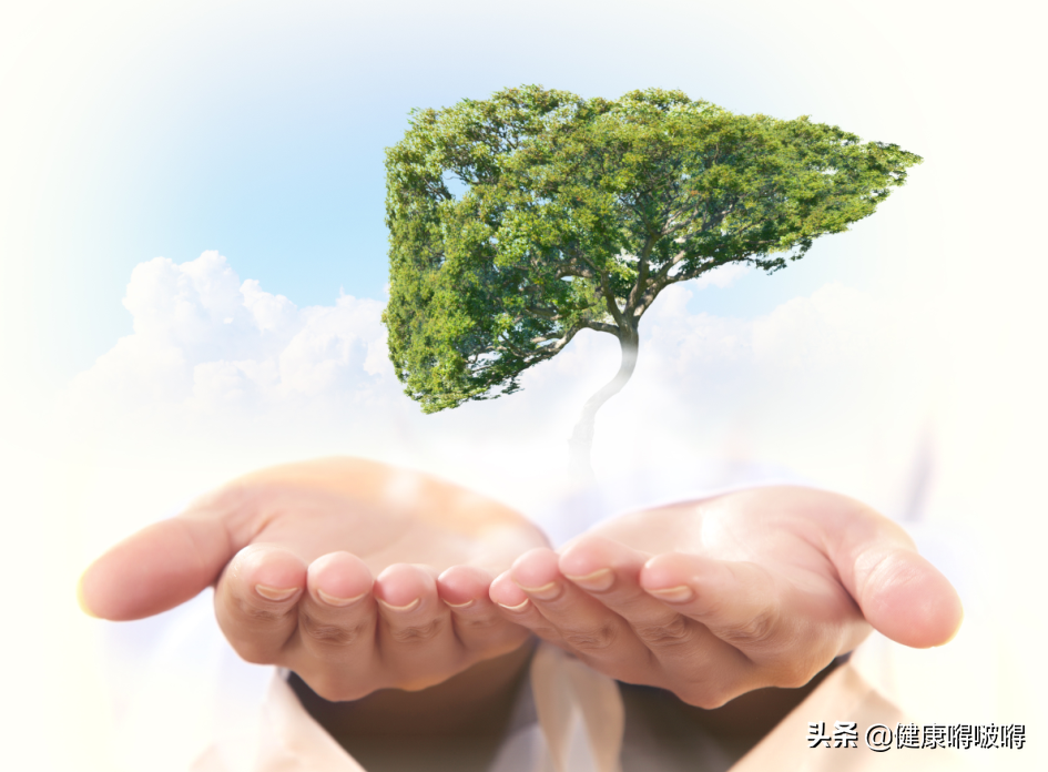 春養肝，正當時，堅持�一清、二少、三多、四不�，肝好你更好