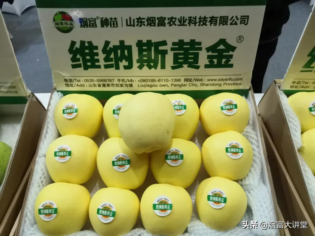 种植维纳斯黄金®苹果的果农朋友们,这个你一定要看