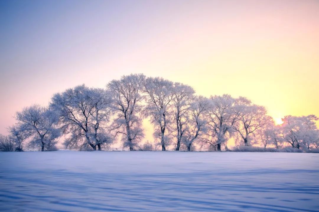 最美的雪在诗词里