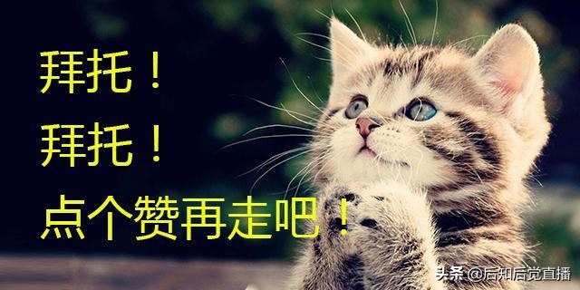 微信码上经济概念股票有哪些？2020微信码上经济