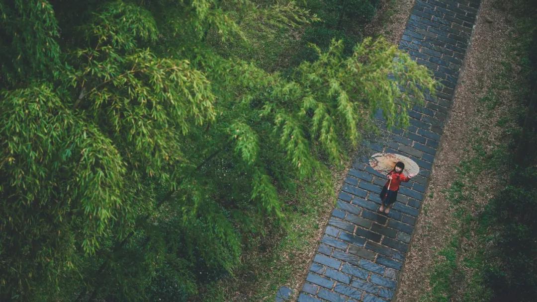 10首诗词中的雨，每一滴都落在心头-第1张图片-诗句网