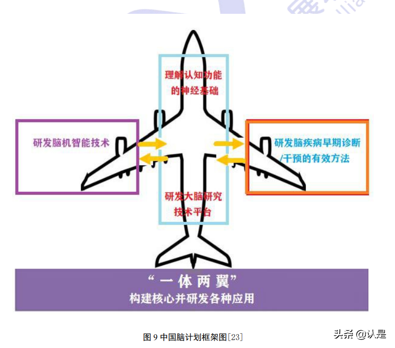 脑机接口技术在医疗健康领域应用白皮书（2021年）
