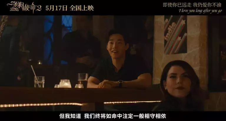 准备好纸巾!「一条狗的使命2」来了
