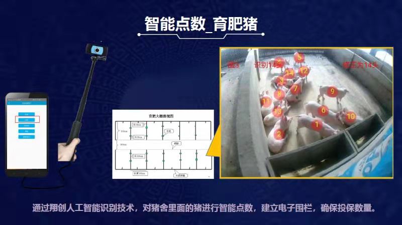 加快推进农业保险高质量发展 全面助力乡村振兴