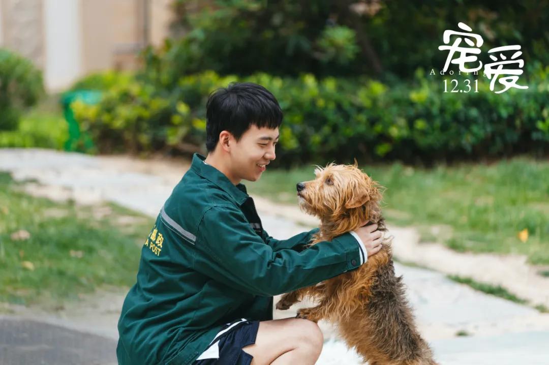 抖音已成宣发标配，但营销效果如何全面监测？