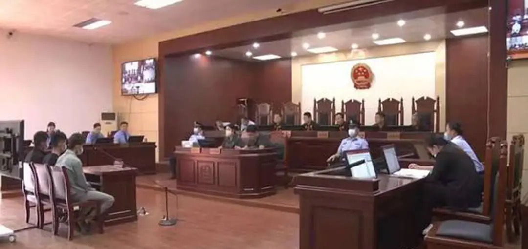 为母治病抓490只壁虎？河南两男子涉嫌犯罪被捕，壁虎不能乱抓