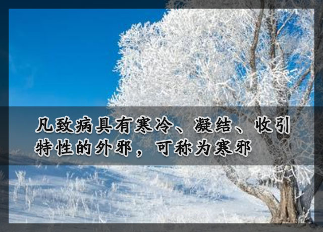 中医所说的