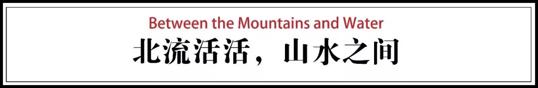 他拍下像蝼蚁一样生活的2000个中国人，没人能平静看完