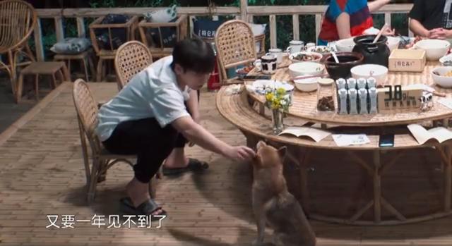 26岁彭昱畅遭遇中年危机，默默与小H告别，网友泪洒现场