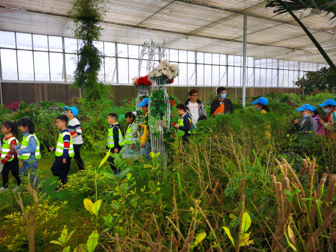 �ԷǷ��¾�ƽ������δ��Ϊ����ʦ������3000Ķ��ѧ���Ͷ���������