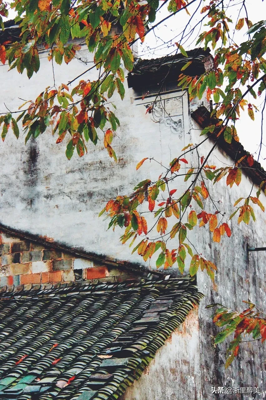 10 ancient towns with beautiful autumn colors, if you are tired, go to stay for a few days