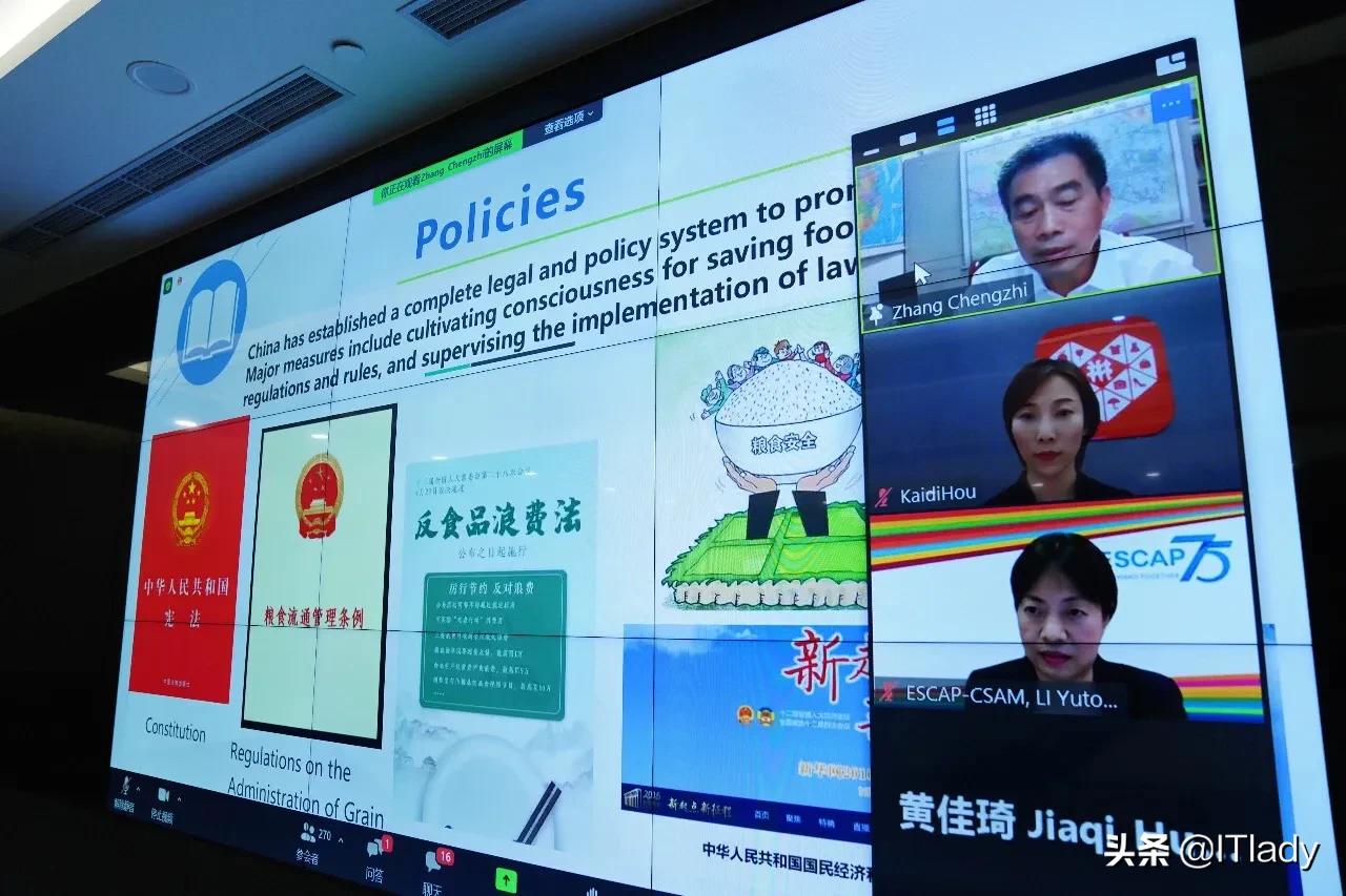 拼多多&ldquo;百亿农研专项&rdquo;，中国化智慧农业的分野与新局