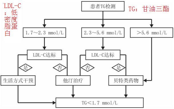 甘油三酯偏高危害大？全科医生：2个步骤教你如何控制甘油三酯