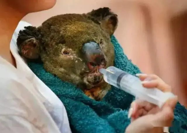 俄罗斯专家纳闷：为何中国被盯着不放，美澳却